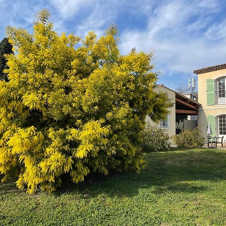 Chambre D'Hotes "La Bastide Des Eucalyptus" Antibes Buitenkant foto