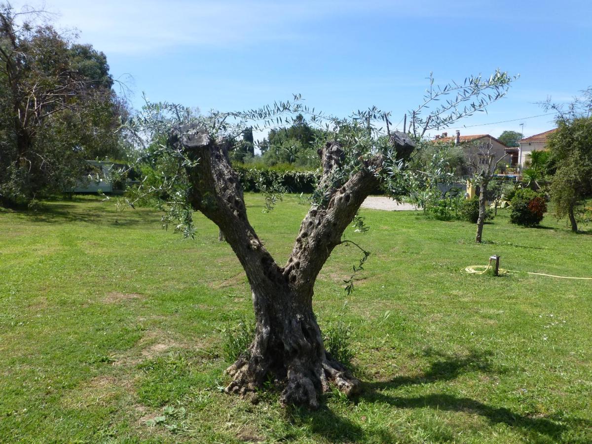 Chambre D'Hotes "La Bastide Des Eucalyptus" Antibes Buitenkant foto